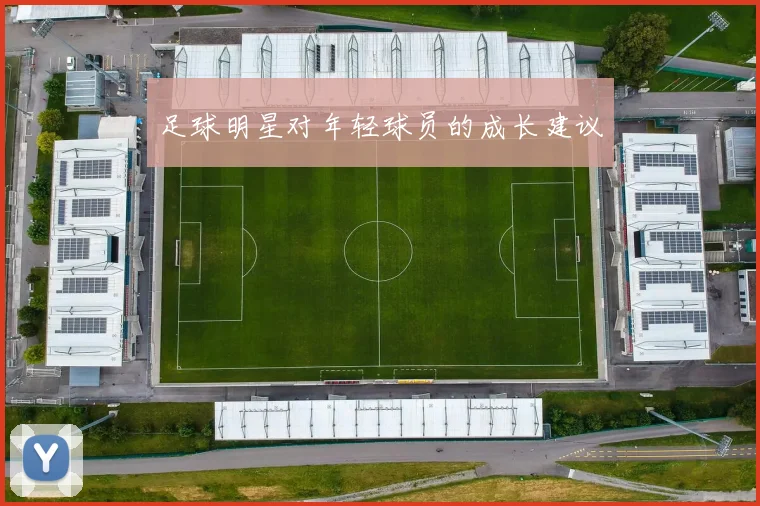 足球明星对年轻球员的成长建议